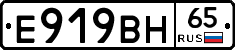 %D0%95919%D0%92%D0%9D65