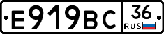 %D0%95919%D0%92%D0%A136