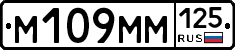 %D0%9C109%D0%9C%D0%9C125