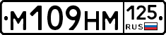 %D0%9C109%D0%9D%D0%9C125