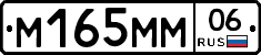 %D0%9C165%D0%9C%D0%9C06