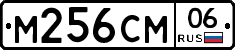 %D0%9C256%D0%A1%D0%9C06