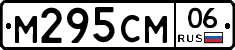 %D0%9C295%D0%A1%D0%9C06