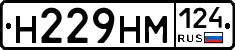 %D0%9D229%D0%9D%D0%9C124
