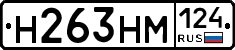 %D0%9D263%D0%9D%D0%9C124