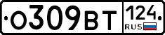 %D0%9E309%D0%92%D0%A2124
