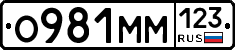 %D0%9E981%D0%9C%D0%9C123