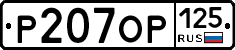 %D0%A0207%D0%9E%D0%A0125