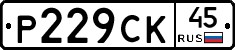 %D0%A0229%D0%A1%D0%9A45