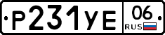 %D0%A0231%D0%A3%D0%9506
