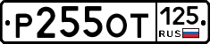 %D0%A0255%D0%9E%D0%A2125
