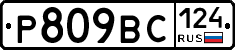 %D0%A0809%D0%92%D0%A1124