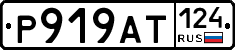 %D0%A0919%D0%90%D0%A2124