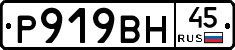 %D0%A0919%D0%92%D0%9D45
