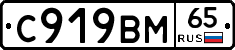 %D0%A1919%D0%92%D0%9C65