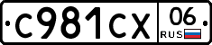 %D0%A1981%D0%A1%D0%A506