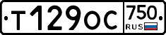 %D0%A2129%D0%9E%D0%A1750
