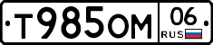 %D0%A2985%D0%9E%D0%9C06