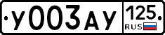 %D0%A3003%D0%90%D0%A3125