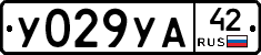 %D0%A3029%D0%A3%D0%9042