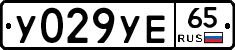 %D0%A3029%D0%A3%D0%9565