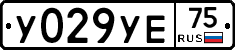 %D0%A3029%D0%A3%D0%9575
