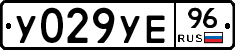 %D0%A3029%D0%A3%D0%9596