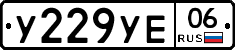 %D0%A3229%D0%A3%D0%9506
