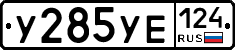 %D0%A3285%D0%A3%D0%95124