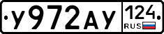 %D0%A3972%D0%90%D0%A3124